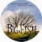 BIG FISH